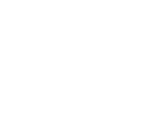 servicios de traducción, Servicios de traducción de documentos