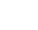 servicios de traducción, Servicios de traducción de documentos